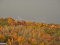 08_Toamna-Carbunari-Maramures