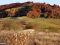 121_Toamna