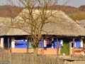 55_Casa-lapuseana