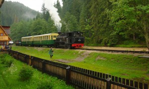 Mocanita-Valea-Vaserului-Viseu-statia-Faina-Turism-Maramures