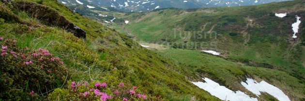 Munții Rodnei (Borșa): Valea Negoiescu – Curmatura Galațului – valea Rea