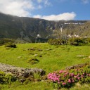 Munții Rodnei: Tura la rododendron și gențiene în Parcul Național Munții Rodnei prin Pasul Prislop – Șaua Stiol – vârful Oncului, vârful Gărgălău – Tăul Știol