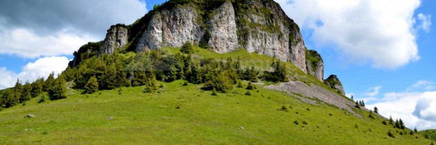 Parcul Natural Munții Maramureșului: Borșa Fântâna – Preluca Mărului – Gruiul Lung – vârful Cearcănu – Podu Cearcănului – valea Cercănel