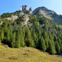 Parcul Național Munții Rodnei: Din Borșa Fântâna, în Rezervația Piatra Rea